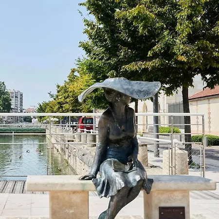 Le Pithou - Votre Pied A Terre Equipe En Ville 5 Troyes Exterior photo